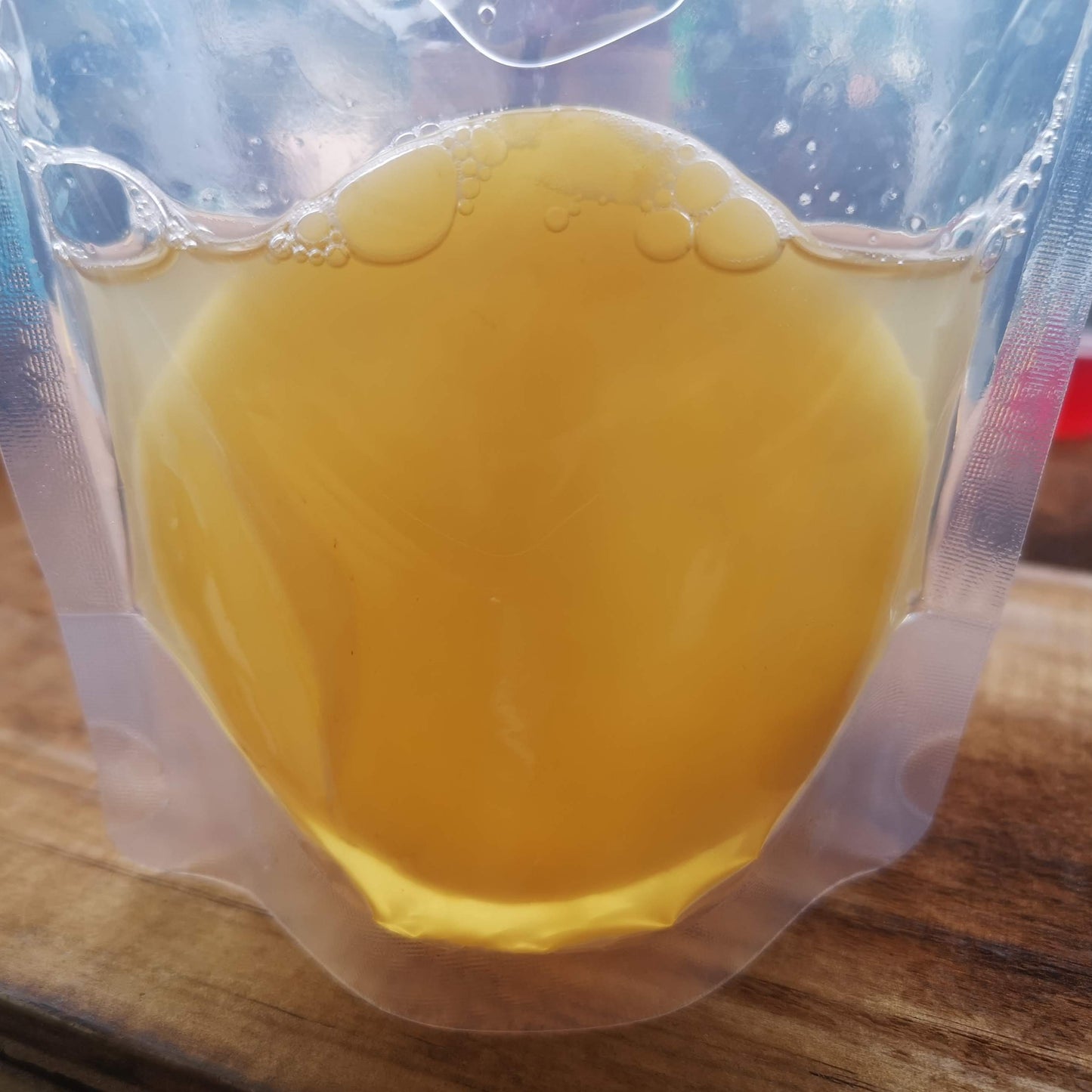 Kombucha Scoby