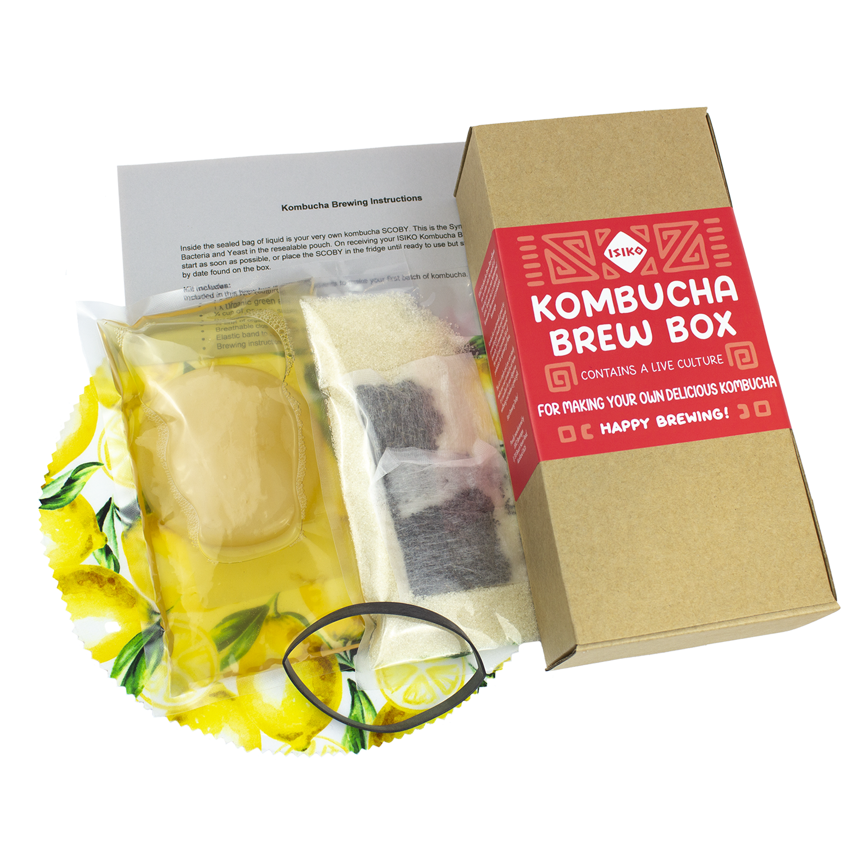 Kombucha Kit NZ