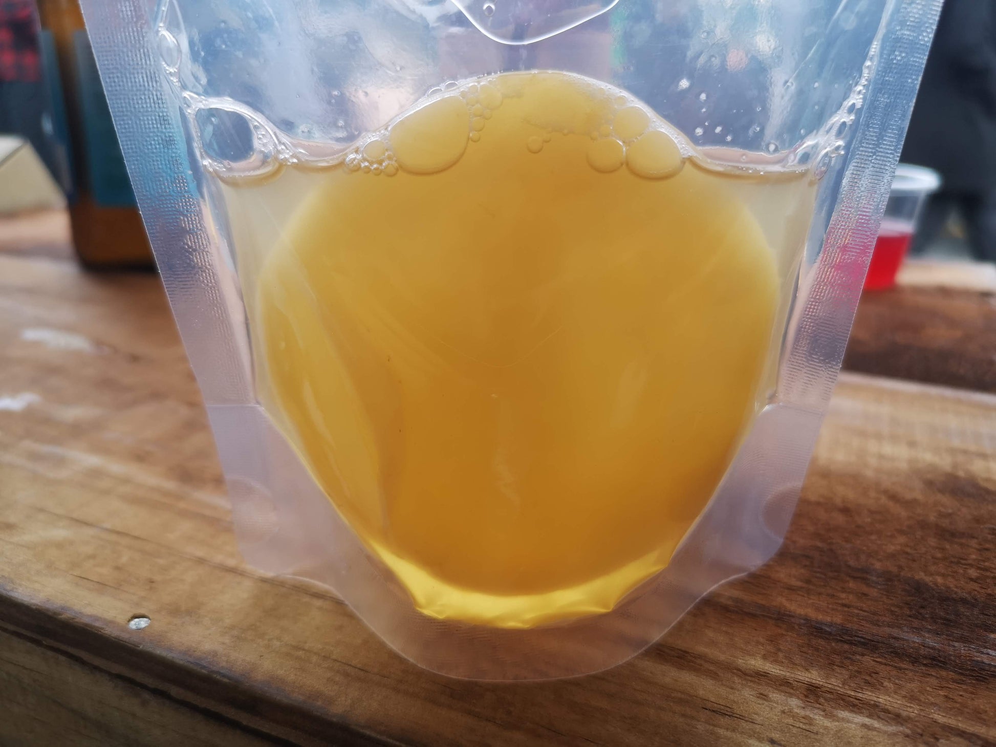 Kombucha SCOBY